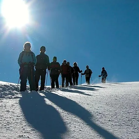 Hotel Park Fiesch